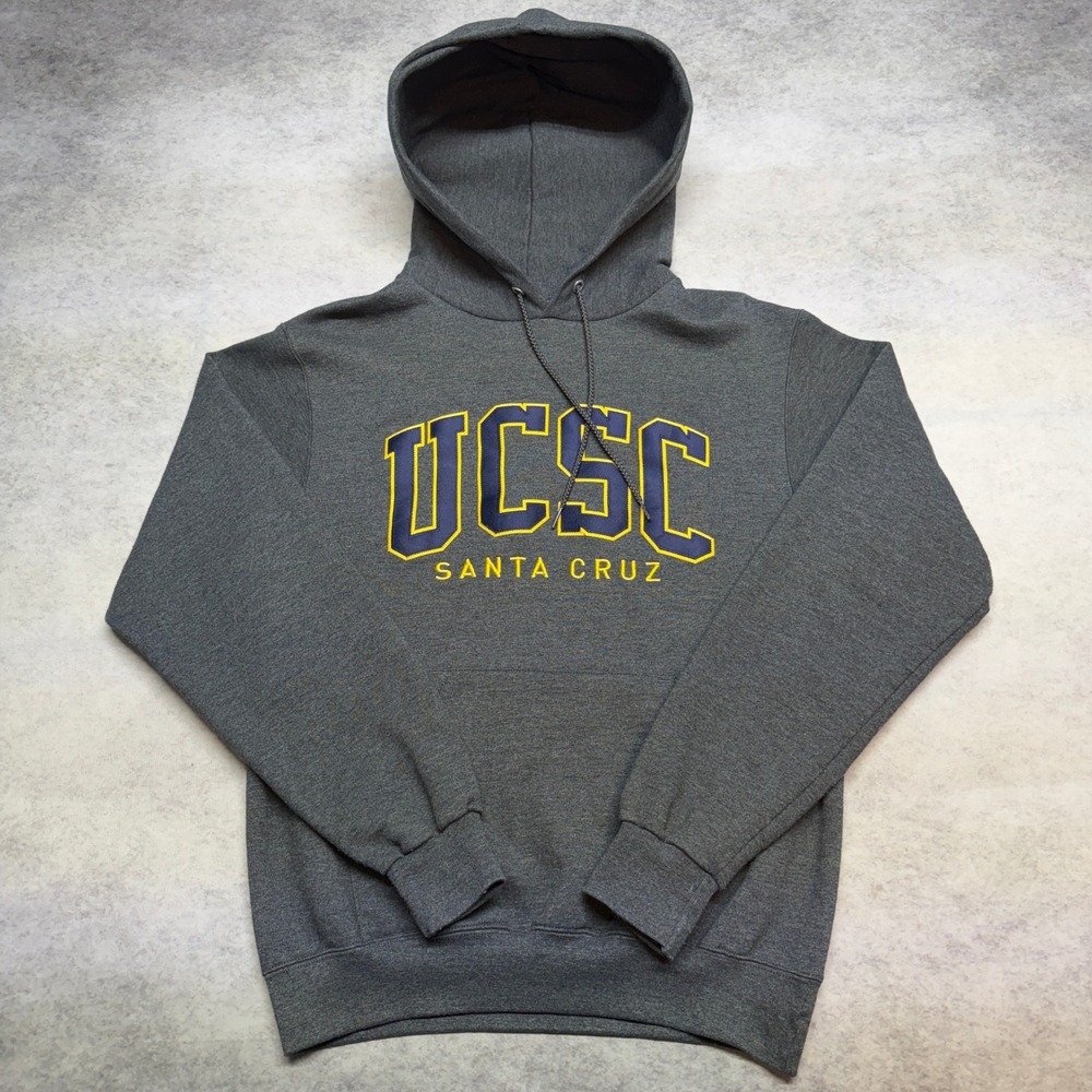 Champion UCSC Santa Cruz Hoodie Mens Small Gray Y2K Collegiate Sweatshirt